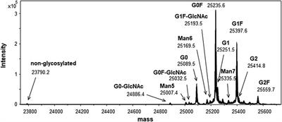 Characterization and Value Assignment of a Monoclonal Antibody Reference Material, NMIJ RM 6208a, AIST-MAB